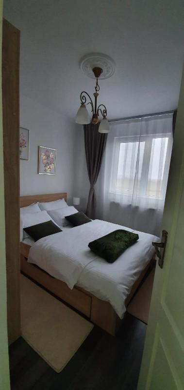 Apartament Thea Apartment Făgăraş Exterior foto